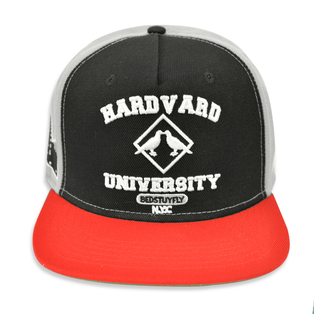 Hardvard Cap - Bedstuyfly