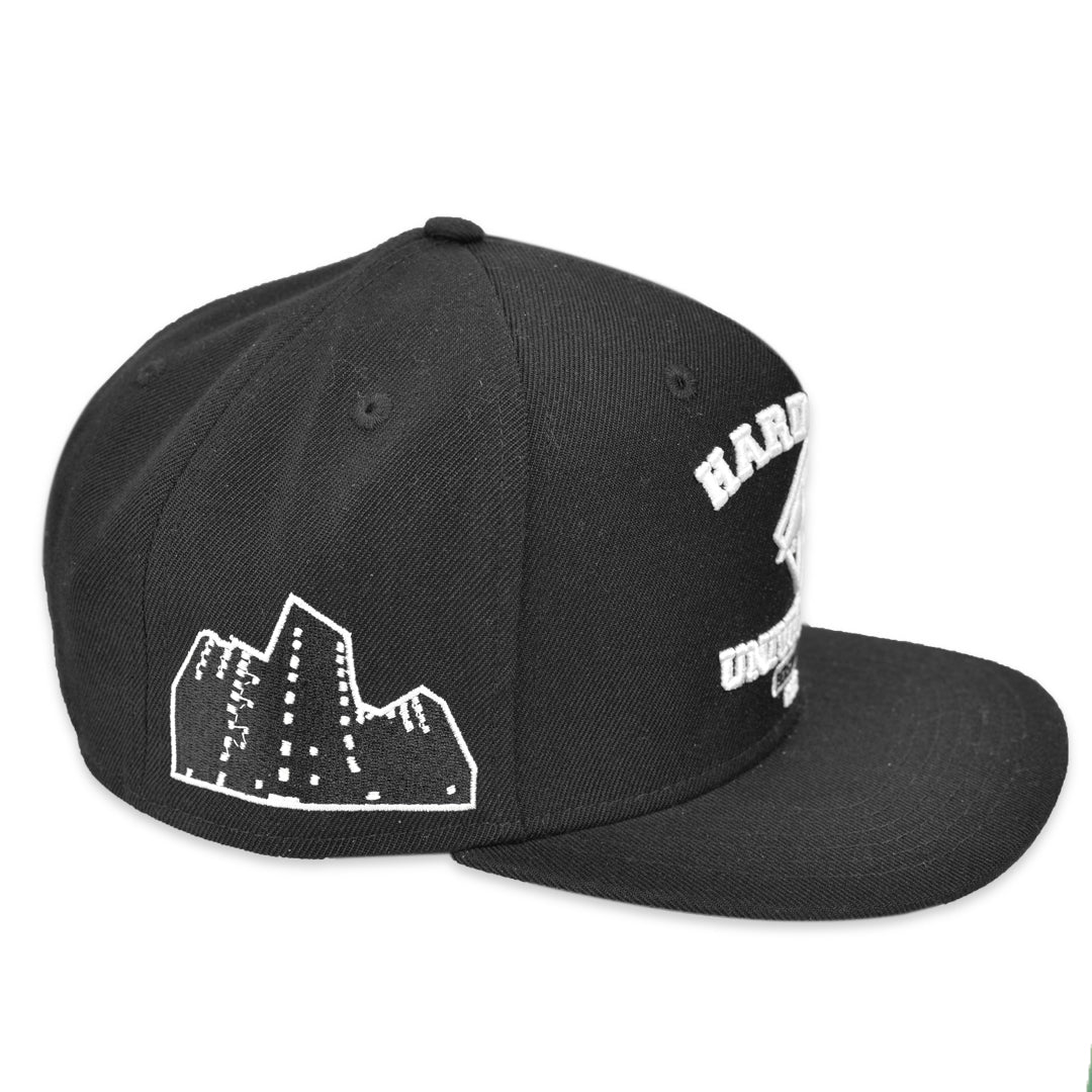 Hardvard Cap - Bedstuyfly