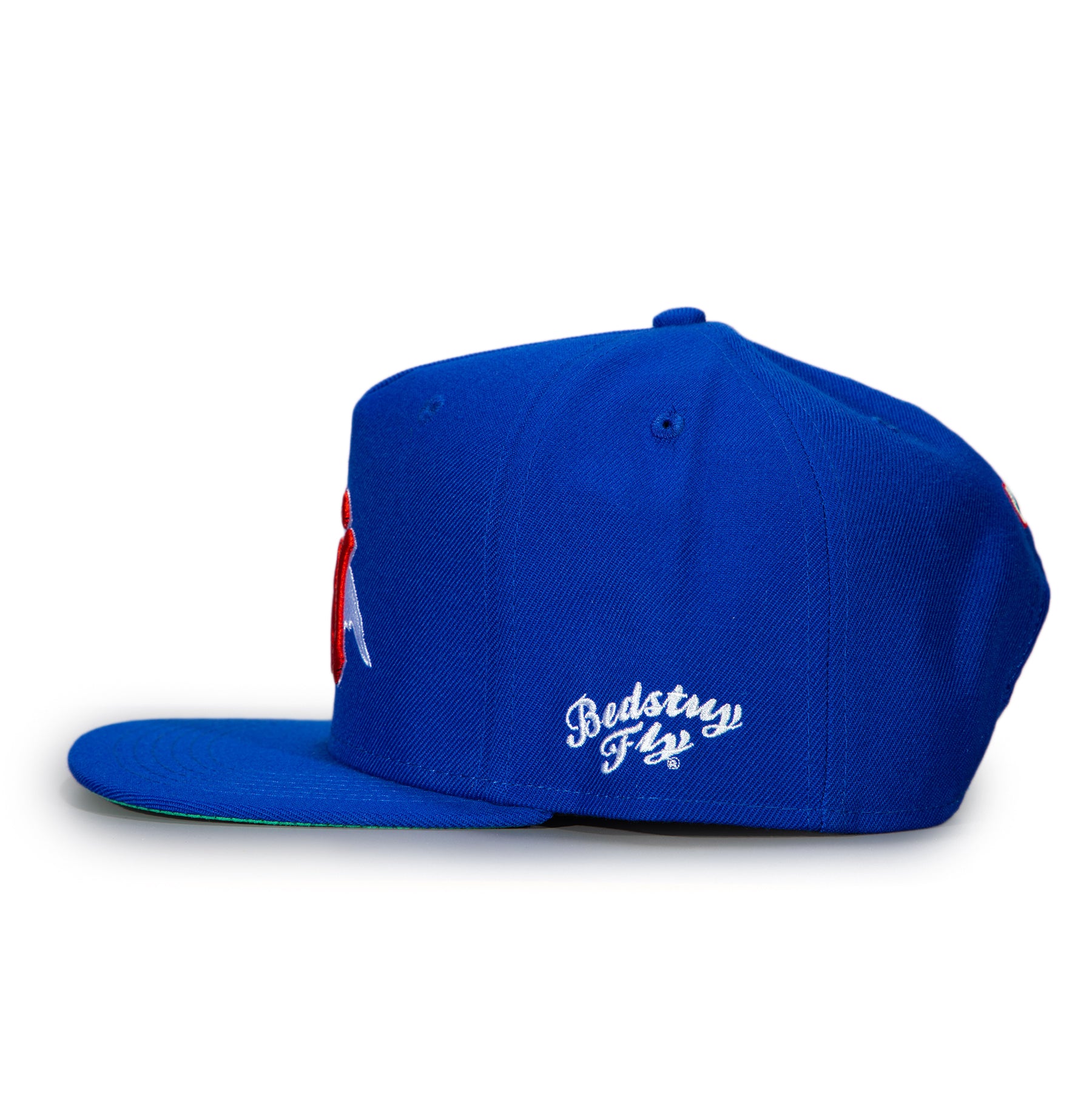 FLY NEW YORK CAP (ROYAL) - Bedstuyfly