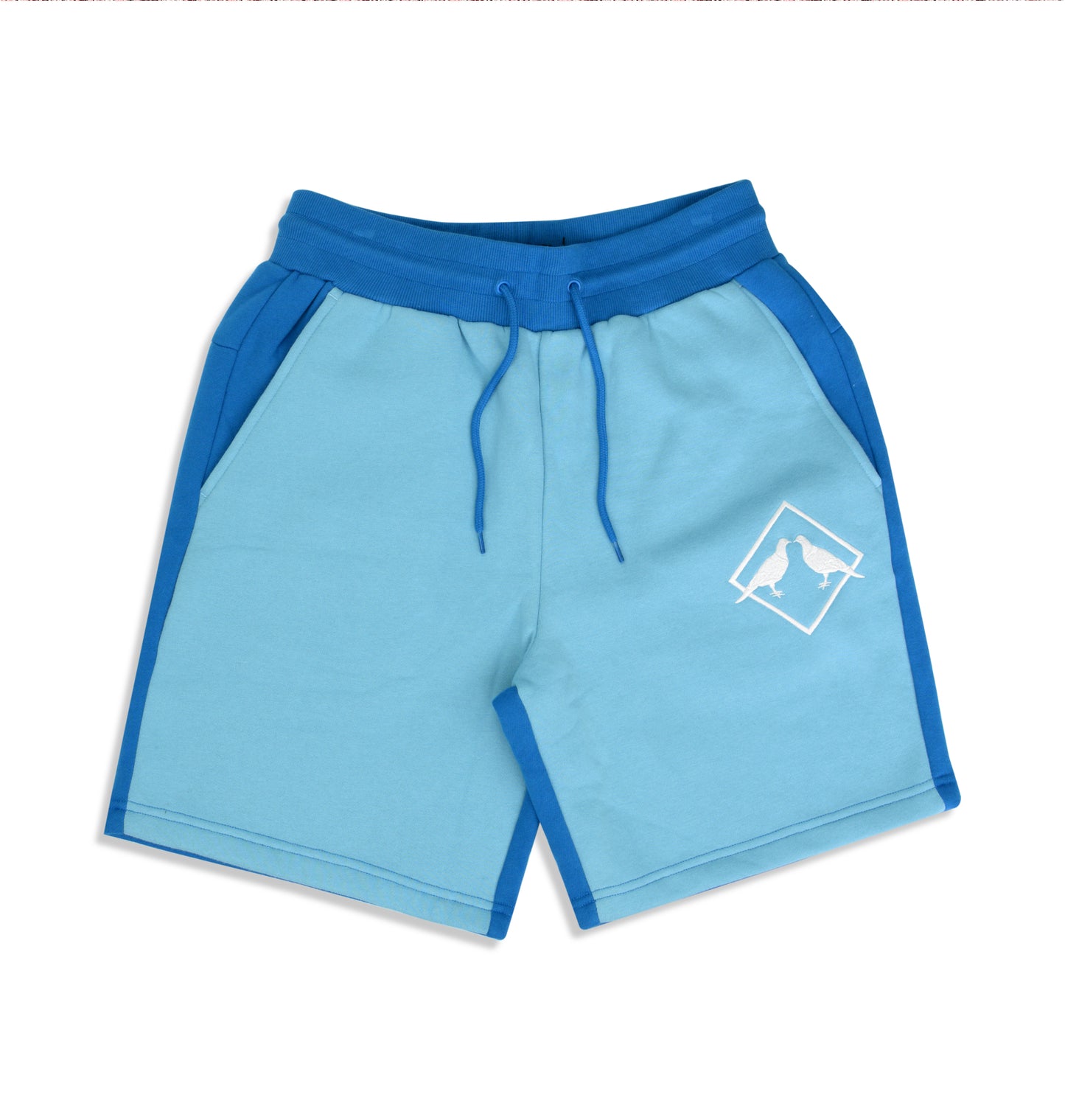 Park Shorts (Blue) - Bedstuyfly