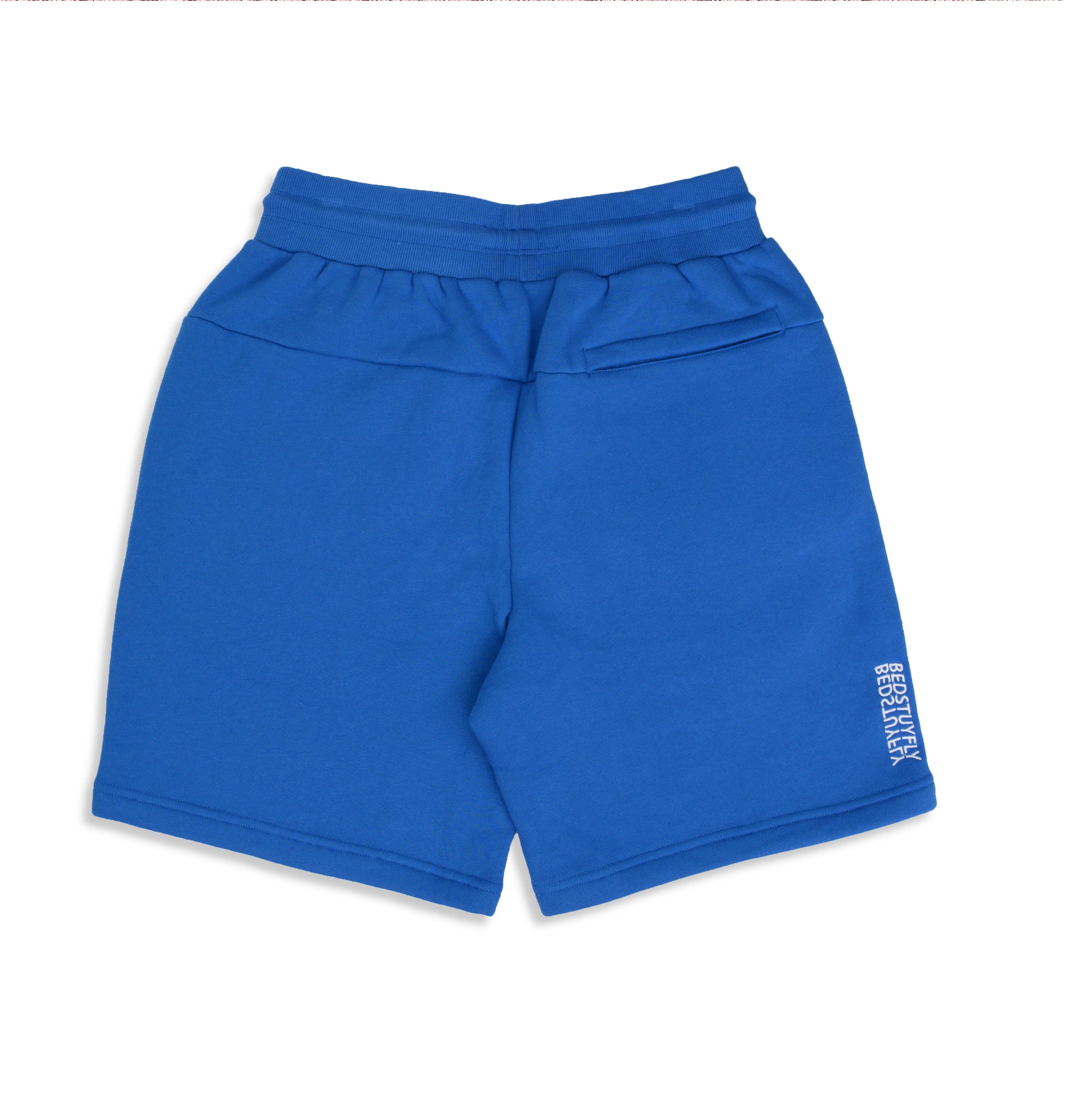 Park Shorts (Blue) - Bedstuyfly