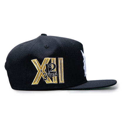 B12 CAP - Bedstuyfly