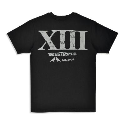 13th Anniversary T-shirt - Bedstuyfly
